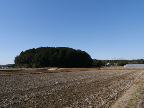15.jpg