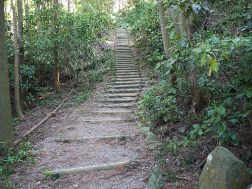 16.jpg