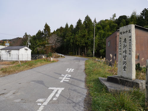 19.jpg