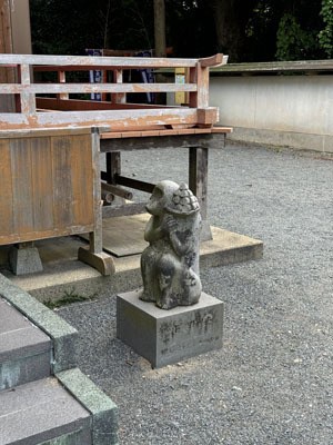 20.jpg