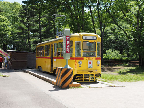 29.jpg